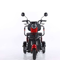 Scooter de mobilité classique à trois roues, 3 places, 48V 60V 650W, 25 km/h, panier avant, boîte de rangement sous la selle, pneu de 8 pouces, frein à tambour