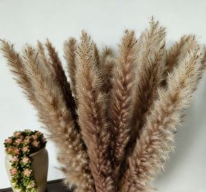 Hierba de Pampas Seca Natural Blanca y Gris para Decoración de Bodas y Navidad, Ecológica, para el Año Nuevo Chino, <span class=keywords><strong>Cortaderia</strong></span> - Product Image 6