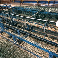 Alambre Galvanizado de Alta Tensión de Venta Caliente de Fábrica China, Alambre de 2 mm y 3 mm de Diámetro, Malla de Alambre con Orificios de 50 mm y 60 mm
