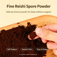 Poudre de spores de Reishi murale brisée, matière première naturelle de Ganoderma Lucidum pour complément alimentaire, approvisionnement en vrac
