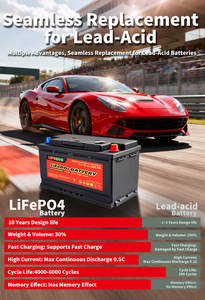 Batería de Automóvil de Alta Capacidad L2-400 12V 40Ah 1000CCA, Batería de Automóvil de Litio 12.8V <span class=keywords><strong>45Ah</strong></span> - Product Image 5