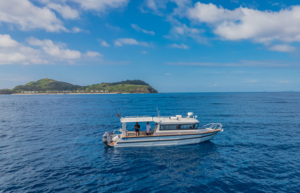 <span class=keywords><strong>Bateau</strong></span> <span class=keywords><strong>de</strong></span> pêche <span class=keywords><strong>en</strong></span> mer Sea King Easycraft <span class=keywords><strong>en</strong></span> aluminium, yacht à cabine fermée, 9 mètres, <span class=keywords><strong>bateau</strong></span> ponton, <span class=keywords><strong>bateau</strong></span> rapide, <span class=keywords><strong>bateau</strong></span> <span class=keywords><strong>de</strong></span> sport, <span class=keywords><strong>bateau</strong></span> pour passagers, 30 pieds - Product Image 3