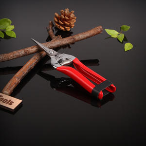 Treillis pour arbres fruitiers avec quincaillerie télescopique en acier inoxydable pour la culture <span class=keywords><strong>de</strong></span> la <span class=keywords><strong>vigne</strong></span> et la récolte des fruits, sécateur - Product Image 6