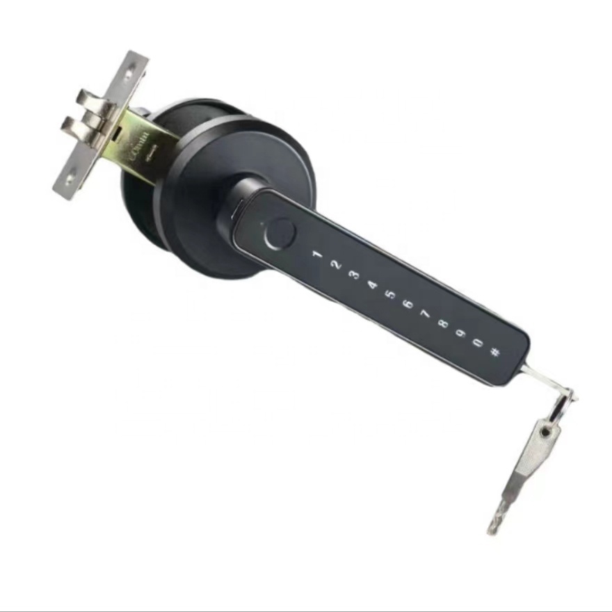 Indoor Interior Room Security Keyless Code Digital Smart Lever Handle Lock Fingerprint Door Lock with Tuya APP · image 3