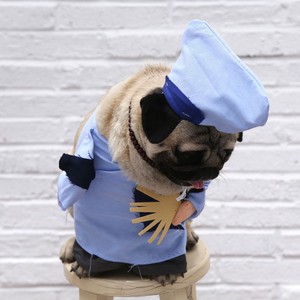 रचनात्मक डिजाइन कॉमेडी स्थायी भिक्षु कुत्ते पोशाक हेलोलीन कुत्ते के कपड़े - Product Image 2