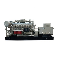 CE 승인 바이오 가스 발전기/가스 발전소 900kW
