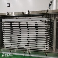 Congélateur IQF en acier inoxydable de qualité alimentaire, machine de congélation rapide par contact pour usine de transformation de fruits de mer, de bœuf et de crevettes