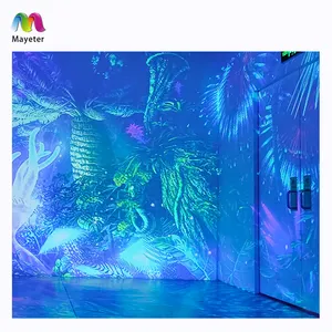 Chinese High Quality Large Room Immersive Experience Interactive Projection 3D Holographic Projection