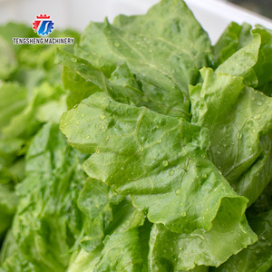 على نطاق واسع معقم الأوزون الفواكه والخضروات التجارية ulettuce غسالة غسالة أوتوماتيكية - Product Image 5