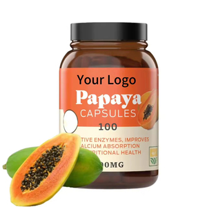 Polvere di <span class=keywords><strong>Papaya</strong></span> in polvere di frutta solubile in acqua di alta qualità - Product Image 3