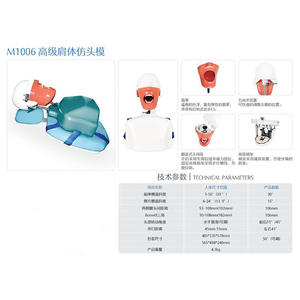 Modelo de Cabeza Dental Desmontable para Prácticas de Preparación Dental, Equipo y Accesorio Simple para Terapia Oral - Product Image 2