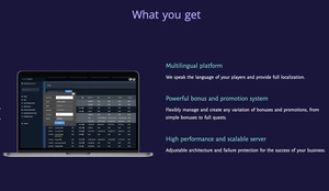 24/7 hỗ trợ phần mềm dịch vụ tích hợp API phần mềm cho các trò chơi trực tuyến trang web chơi game trực tuyến - Product Image 5
