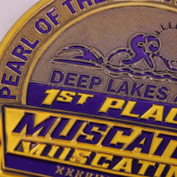 Médaille personnalisée pour les sports, récompense de triathlon personnalisée, trophée de course gravé avec cordon, cadeau unique pour la compétition de marathon