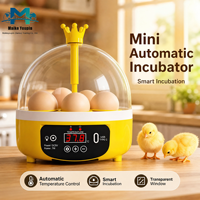 Mini incubateur d'œufs automatique USB 5V avec contrôle numérique de la température, lampe de visualisation LED, plateau rotatif à 360°, portable, en ABS+PP, OEM/ODM