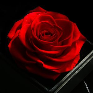 Coffret cadeau de rose unique pour les fêtes, ensemble de fleurs pouvant contenir des bijoux, joyeux anniversaire, rose rouge à grosse tête naturelle, fleur préservée - Product Image 1