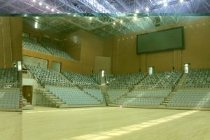 Крытый/открытый стадион HDPE ковшеобразное сиденье, стул стадиона для арены/школы/стадиона - Product Image 6