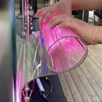 Film LED Flexible P6 pour Fenêtre Intérieur/Extérieur, Grande Vente, Adhésion à l'Eau, Transparence TV jusqu'à 90% Effet Cristal