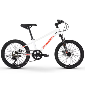 2025 Fabriek Directe Verkoop Kinderen 20/22 Inch Aluminium Student Mountainbike Mtb Berg Voor Kinderen - Product Image 3