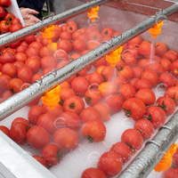 Hexu Automatische Hogedruk Spuitborstel Wasmachine voor Watermeloen Ananas Cantaloupe Meloen