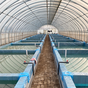 Chất lượng cao rõ ràng UV kháng nhà kính cuộn phim nhựa, được sử dụng cho trồng rau - Product Image 5