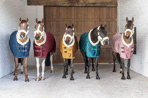 Couverture d'écurie pour chevaux en velours doublé de polyester durable, tailles personnalisées pour la protection hivernale - Product Image 4