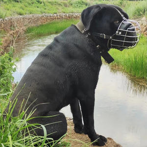 Bozal para Perros Anti-Mordidas, Evita la Ingestión Accidental para Rottweiler, Pitbull, Bulldog Francés, <span class=keywords><strong>Cane</strong></span> <span class=keywords><strong>Corso</strong></span>, Border Collie, Perros Medianos/Grandes - Product Image 4