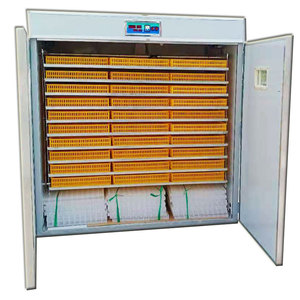 Sistema Completo per Incubazione Commerciale |   Incubatrice Industriale Automatica con Capacità di 5000 Uova per Appalti Governativi - Product Image 4