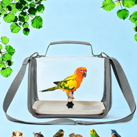 Sac de transport transparent pour oiseaux avec perchoir et plateau, cage de voyage respirante pour petits animaux