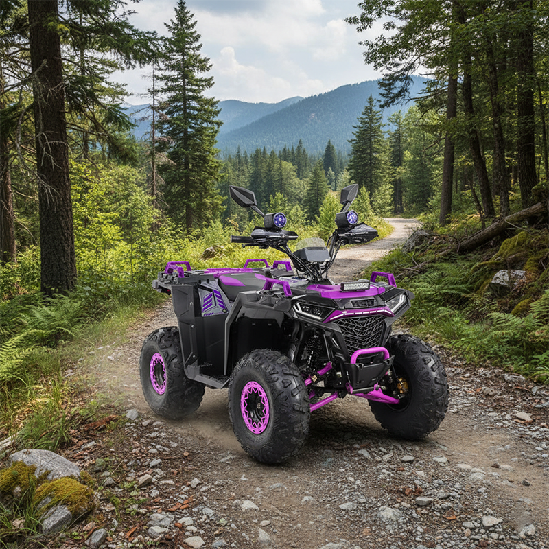 Adult Electric Off Road ATV 10000