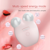 Dispositif facial à microcourant Offre Spéciale, dispositif de beauté de la peau Portable à usage domestique équipement de Massage du visage