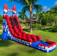 Toboggan gonflable aquatique/sèche de 20 pieds à piste unique pour enfants et adultes