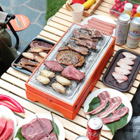 GARIDA Outdoor Disposable Compact Camping Hiking Traveling Indoor & Outdoor Cooking BBQ Grill Stove GCBG-027