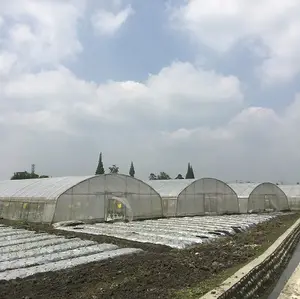 30x10m Tunnel Kunststoff Gewächshaus Film Landwirtschaft Gewächshaus