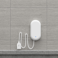 IoT Portable longue portée Lorawan alimenté par batterie équipement de détection de fuite d'eau dispositif de localisation d'alerte avec étiquette de capteur pour un usage domestique