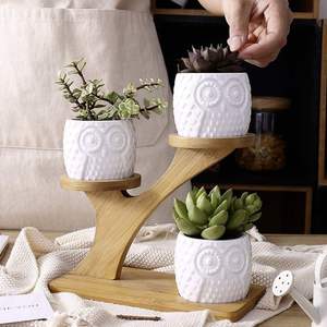 Pequeño Soporte de Bambú Moderno de 3 Niveles para Plantas, Estante para Ventana, Soporte para Flores, Regalo para Amantes del Jardín, Balcón o Patio - Product Image 4