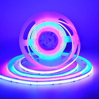 2022 nouvelle Bonne Vente 24V Magie RGB Longueur Bandes RVB Rêve Couleur Kit Cob Bande Lumière