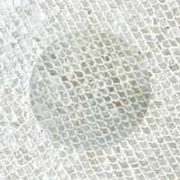 Sous-plats modernes écologiques en nacre en gros pour une décoration intérieure et une mise en scène de table durables en provenance du Vietnam