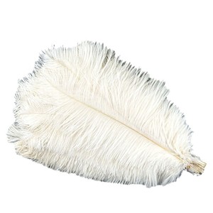 Grandes plumes d'autruche blanches de 10 à 80 cm, de haute qualité, teintes, pour décorations de carnaval, de fêtes, de Noël, de mariages et de centres de table. - Product Image 1