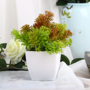 Di alta qualità artificiale arte topiaria bonsai bosso plastica <span class=keywords><strong>cipresso</strong></span> in vaso bonsai pianta con il <span class=keywords><strong>prezzo</strong></span> poco costoso - Product Image 4