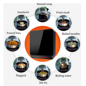 STW DC 24V double fer cuisinière électrique pour petits appareils de cuisine - Product Image 6