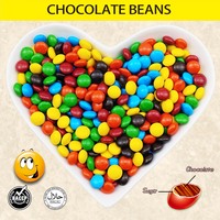 Suikerpoeder bedekte chocolade jelly bean met krokante schaal, fruit smaak, speelgoeddesign, ISO/HACCP gecertificeerd, aanpasbaar, groothandel in bulk