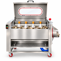 Machine à laver les légumes-racines commerciale avec brosses rotatives pour les opérations de manutention des récoltes agricoles