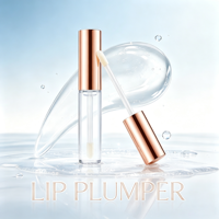 Gloss à lèvres repulpant transparent effet verre, hydratant et volumisant, non collant, avec logo personnalisé, vente en gros OEM