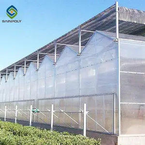 廉价聚碳酸酯农业温室，低成本隧道塑料温室出售，商业温室