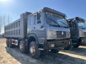Camion léger diesel Howo 8x4 Euro 2, nouveau camion benne minier 10 roues, capacité de charge 11-20T, direction à gauche, caméra arrière, 251-350HP, 6-8L - Product Image 1