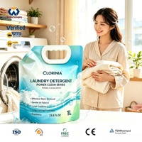 Sac de détergent liquide pour lessive personnalisé à grande capacité avec bec verseur et poignée, sac en plastique de 2L et 5L pour détergent à lessive