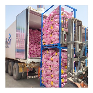 Bawang Putih Kating กระเทียมสด Cangshan 4 6กลีบกระเทียมที่มีคุณภาพสูงขายส่ง Bawang Putih Kating - Product Image 4