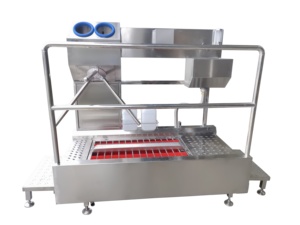Estación <span class=keywords><strong>de</strong></span> Higiene con Lavadora <span class=keywords><strong>de</strong></span> Botas y Sistema <span class=keywords><strong>de</strong></span> Higiene <span class=keywords><strong>de</strong></span> Manos para Plantas <span class=keywords><strong>de</strong></span> Alimentos y Farmacéuticas - Product Image 1
