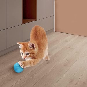 Pelota Interactiva Ecológica Recargable con Catnip para Gatos y Perros - Juguete Inteligente de Entrenamiento con Movimiento Automático - Product Image 3