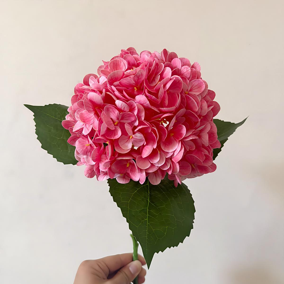 Rose foncé
